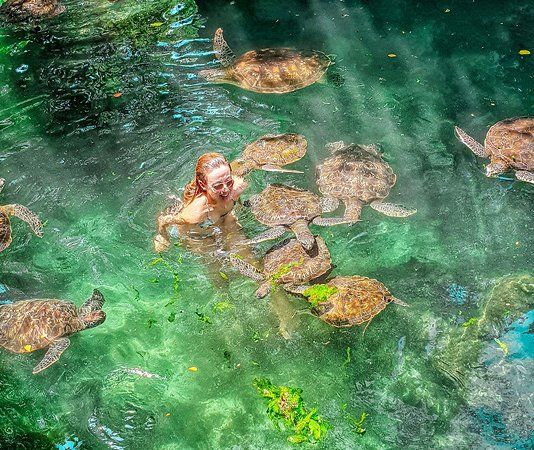 Baraka Natural Aquarium- Nungwi